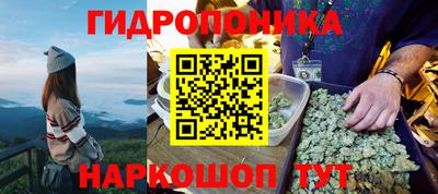 гашик Кинель