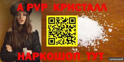 гашик Кинель