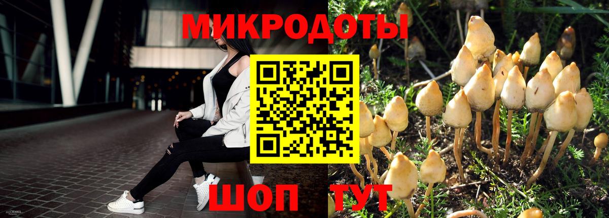 Галлюциногенные грибы Psilocybine cubensis  Вход с VPN  Галлюциногенные грибы мицелий  Северск 